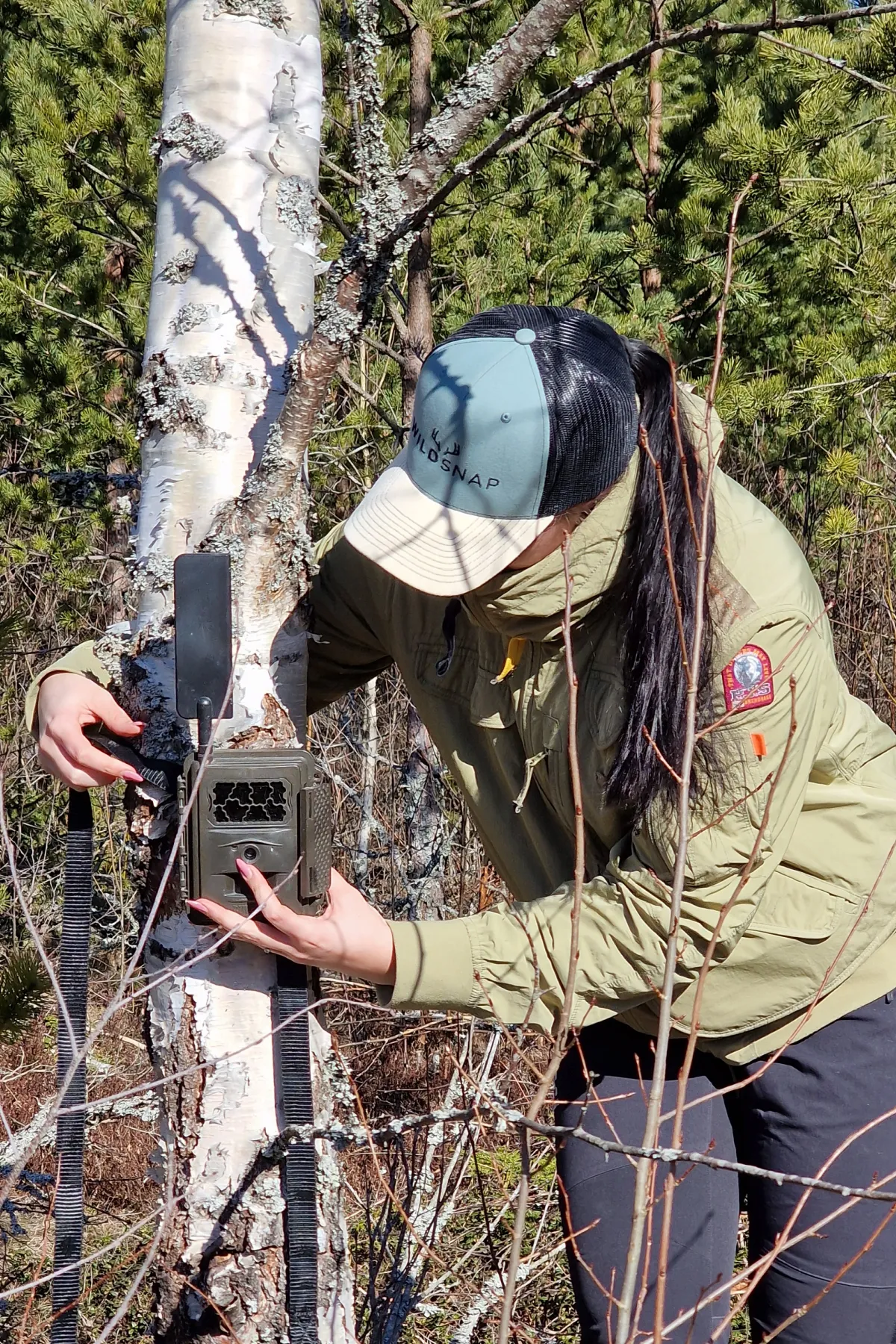 Beautiful forest trail